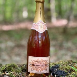 Rosé Brut Champagne fra Desloovere-Pienne