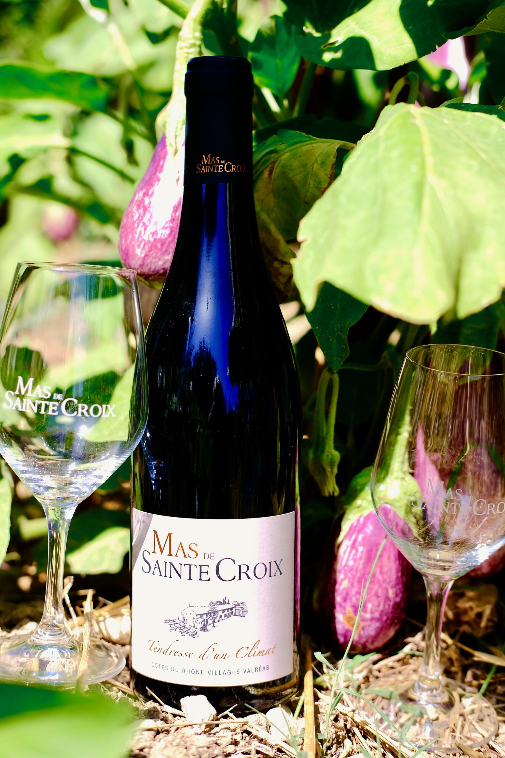 mas-de-sainte-croix-naturewines-dk