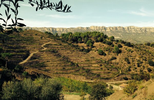 Priorat - Pobolda område