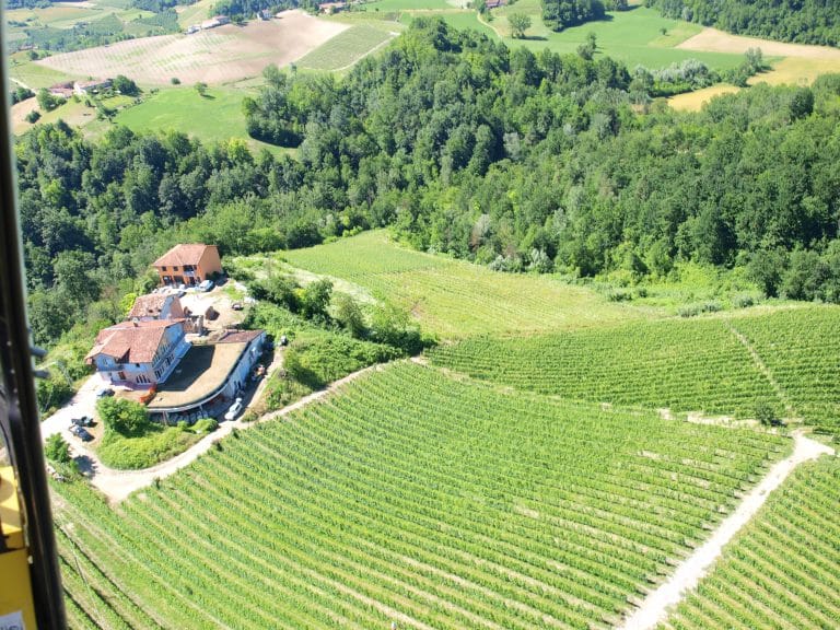 Vingården Simone Scaletta med vinmarker