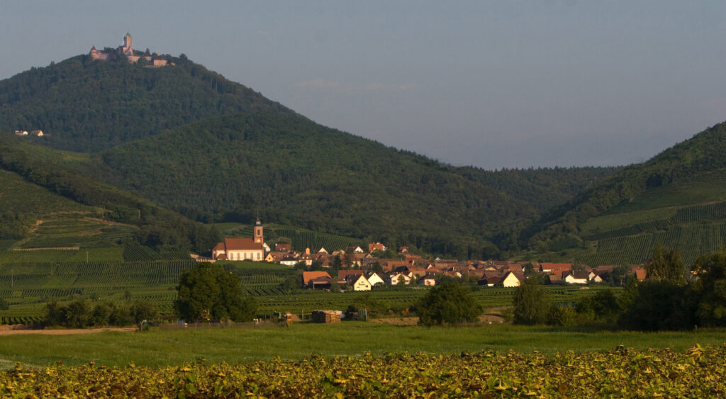 Udsigt over området ved Domaine Blëger, Alsace