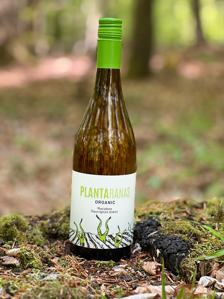 Plantaranas Blanco (hvidvin) - økologisk og vegansk hvidvin.