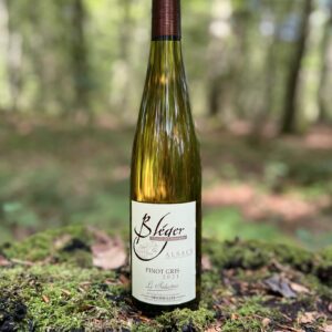 Pinot Gris "Le Séducteur" 2021 - semi-tør, økologisk og mineralsk hvidvin fra Domaine Bléger, Alsace.
