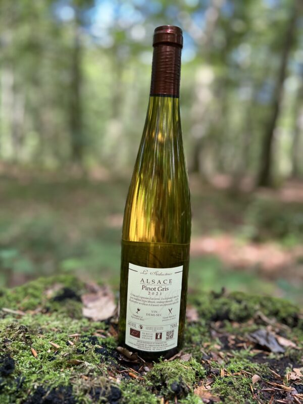 Pinot Gris "Le Séducteur" 2021 - semi-tør, økologisk og mineralsk hvidvin fra Domaine Bléger, Alsace.