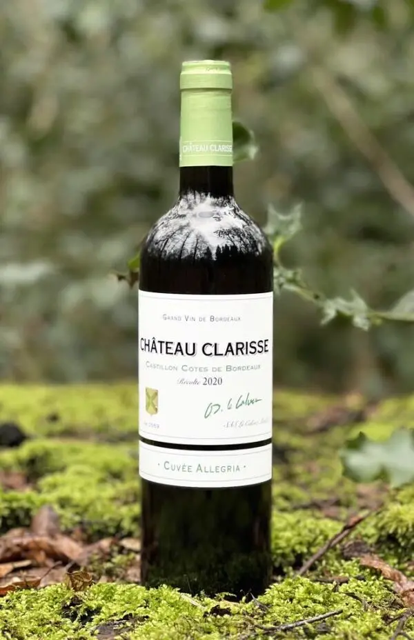 Castillon Côtes de Bordeaux 2020 fra Chateau Clarisse