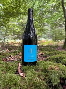 Immel Spätburguner (Pinot Noir) 2022 - økologisk rødvin