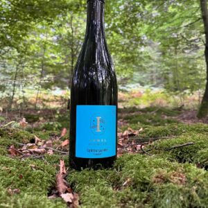 Immel Spätburguner (Pinot Noir) 2022 - økologisk rødvin