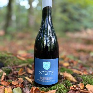 Weingut Steitz Eichelberg Spätburgunder (Pinot Noir) 2020 - unik rødvin