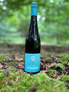 Weingut Steitz 4 Weingut Steitz Spätburgunder (Pinot Noir) 2022 - økologisk rødvin