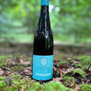 Weingut Steitz Spätburgunder (Pinot Noir) 2022 - økologisk rødvin