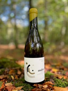 Acústic Celler 5 Auditori Blanc - økologisk hvidvin fra Montsant