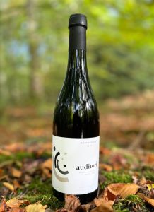 Acústic Celler 2 Acustic Auditori Negre - top rødvin (økologisk) fra Montsant